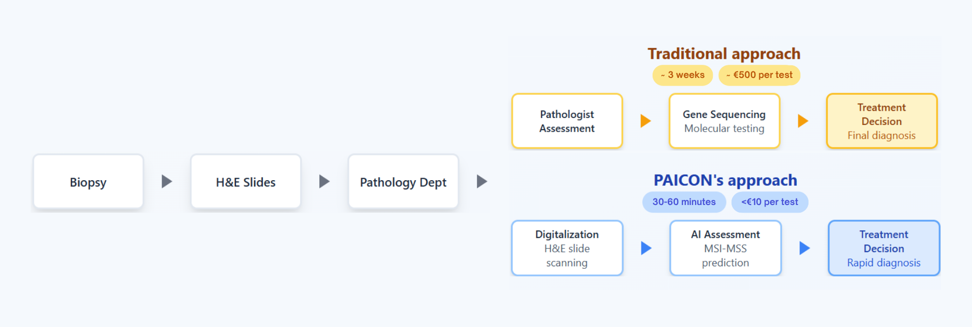 SatSight Dx Workflow Comparison